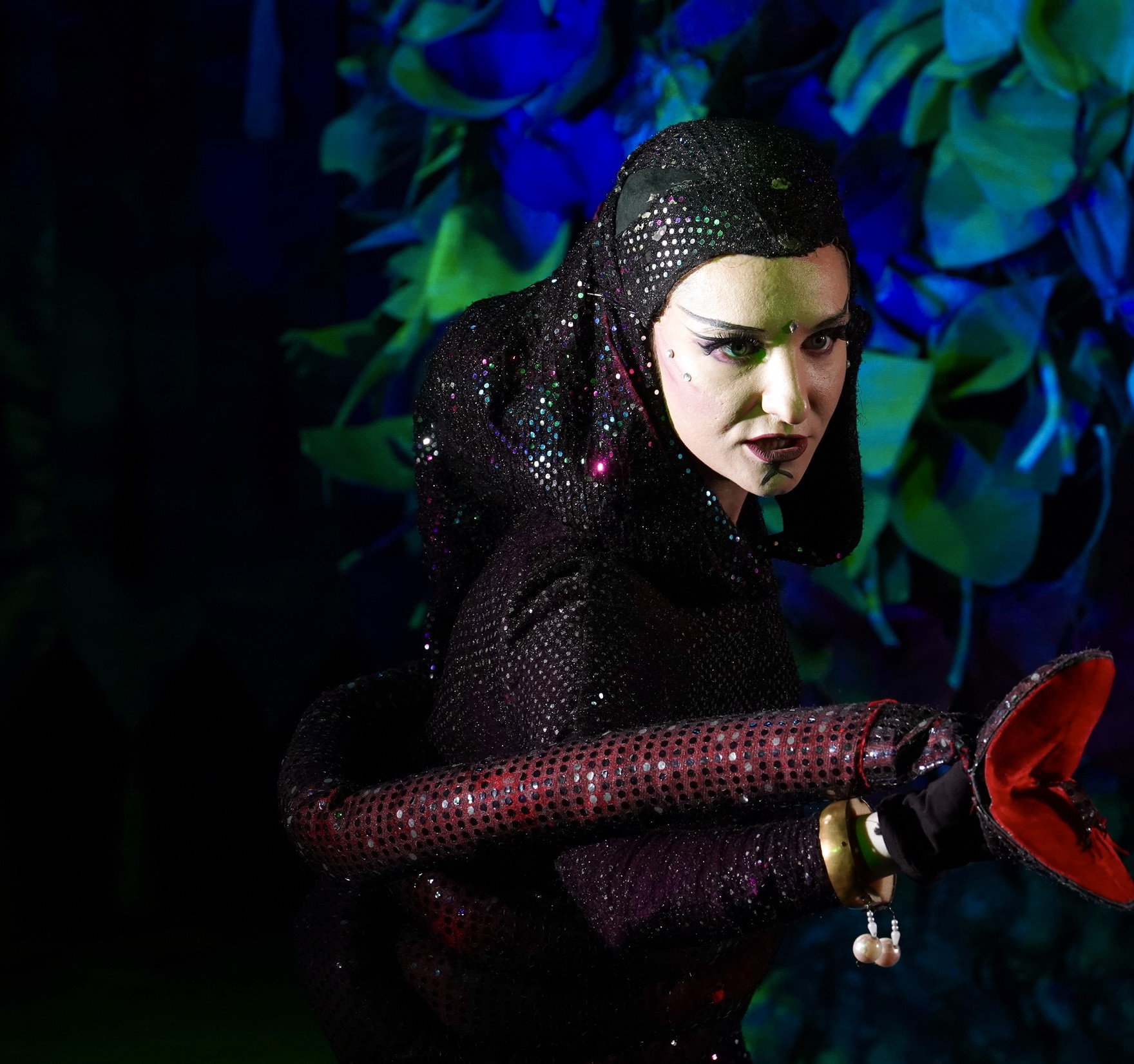 Сказание о Рикки-Тикки-Тави в девятнадцати песнях